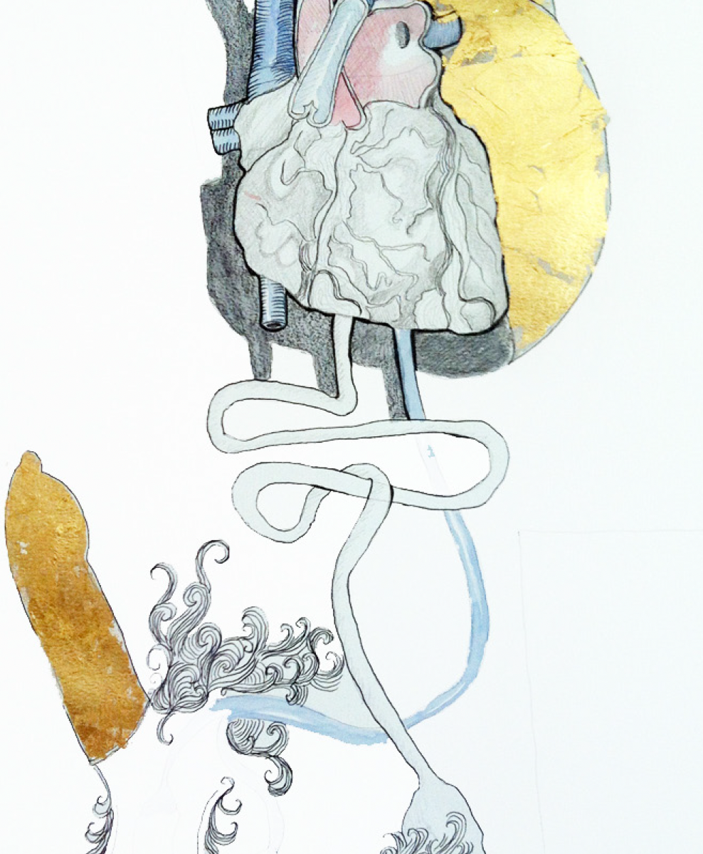 Alfonso Baya "Cardiogenital" 2012